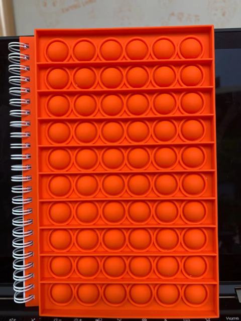 Pop Its Push Bubble Fidget Toys Pencil Case And Notebook